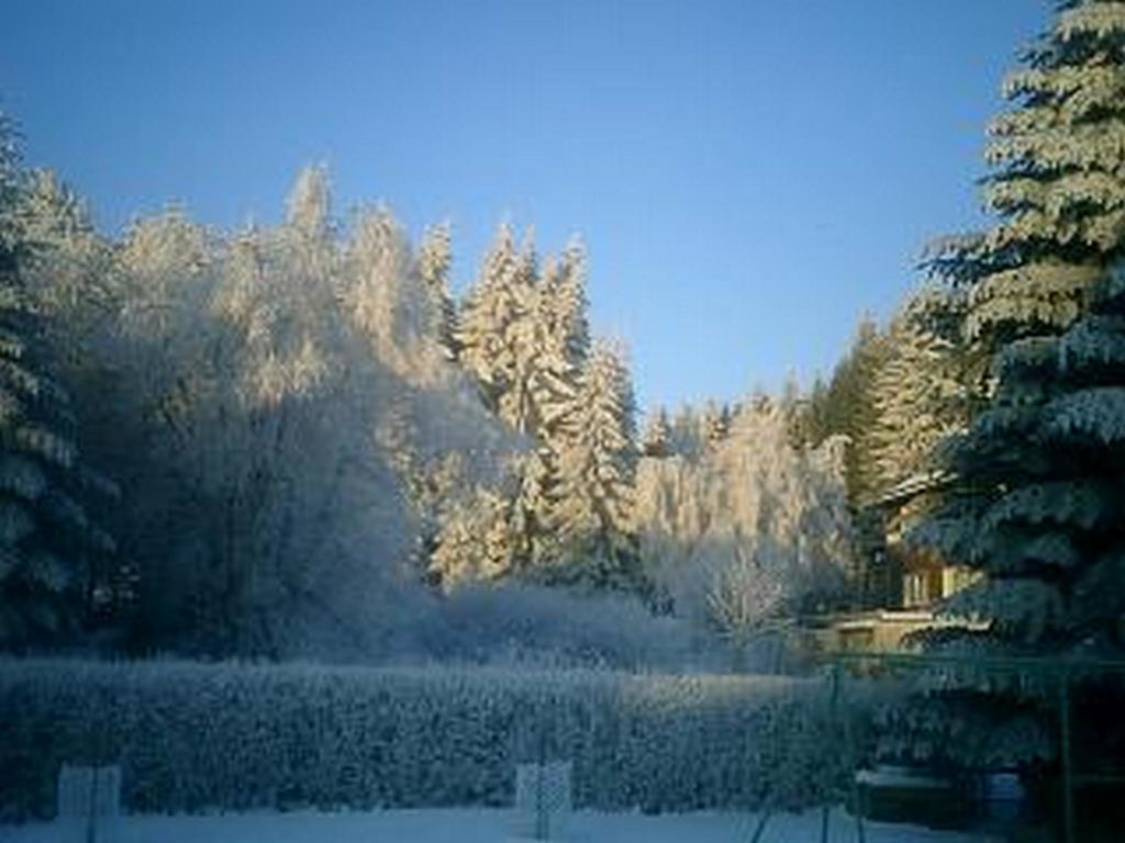 Ferienwohnung Zeidler Braunlage Zimmer foto